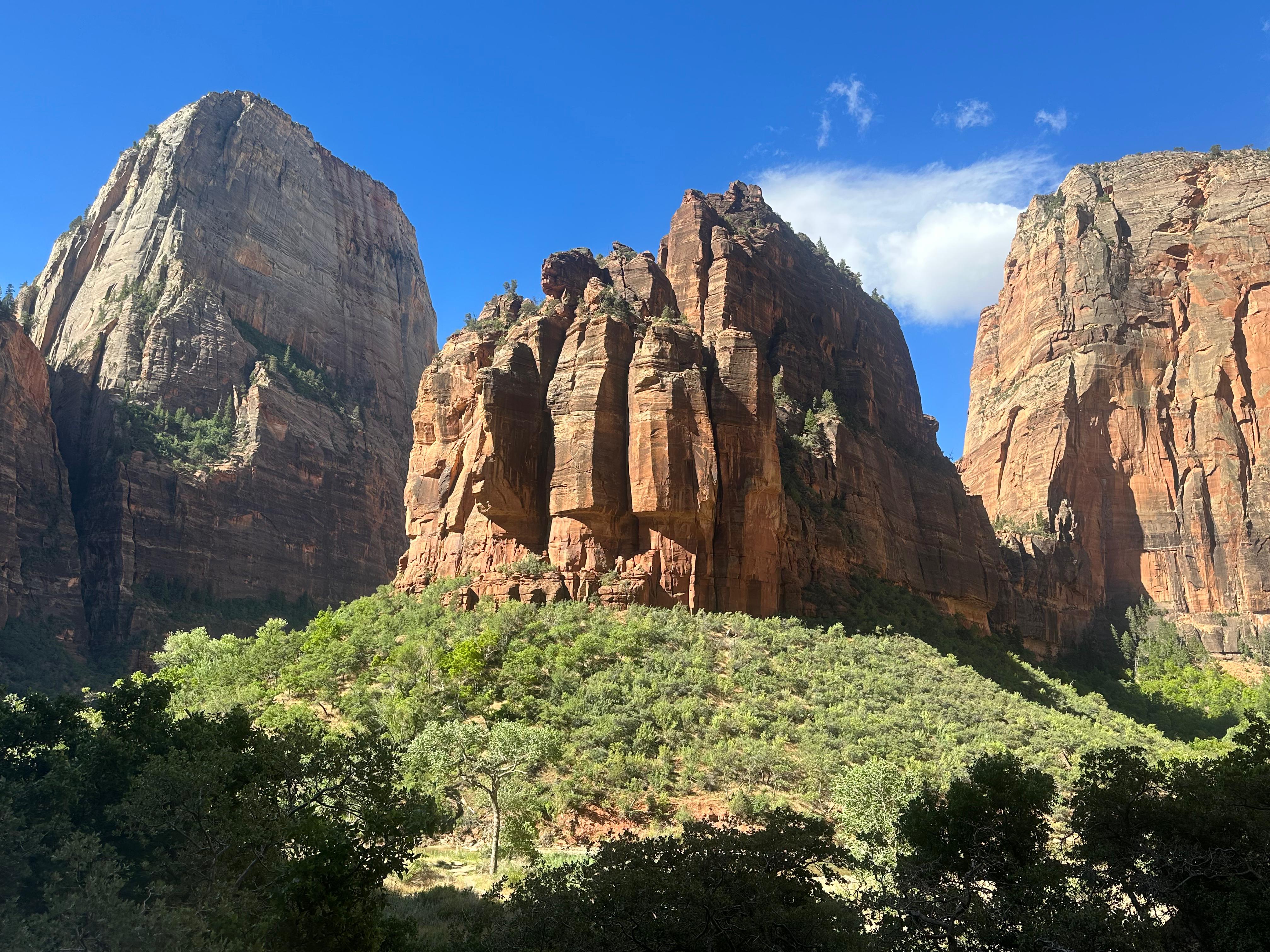Zion National Park